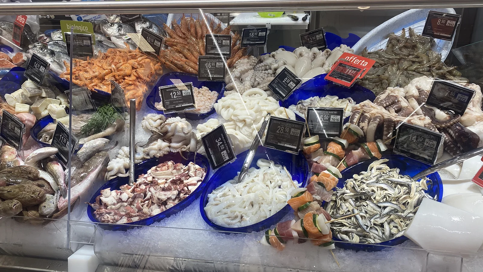 contenitori-blu-pescheria-latticini-1